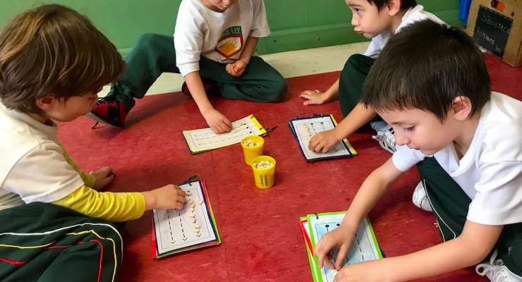 Los Zebras ejercitan la motricidad fina