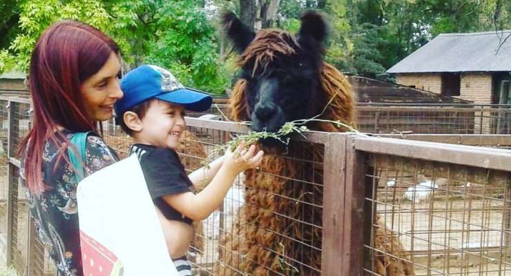 Excursión a la granja “La Aurora”