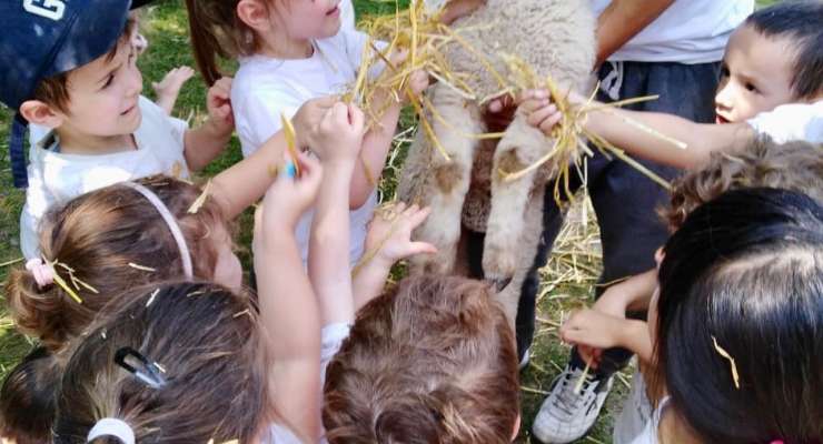 Kinder 3 y 4 de visita en la Granja La Aurora