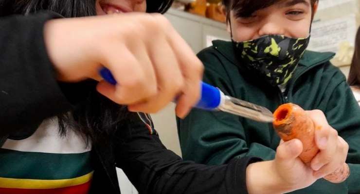 En 2° año trabajan en el laboratorio procesos celulares